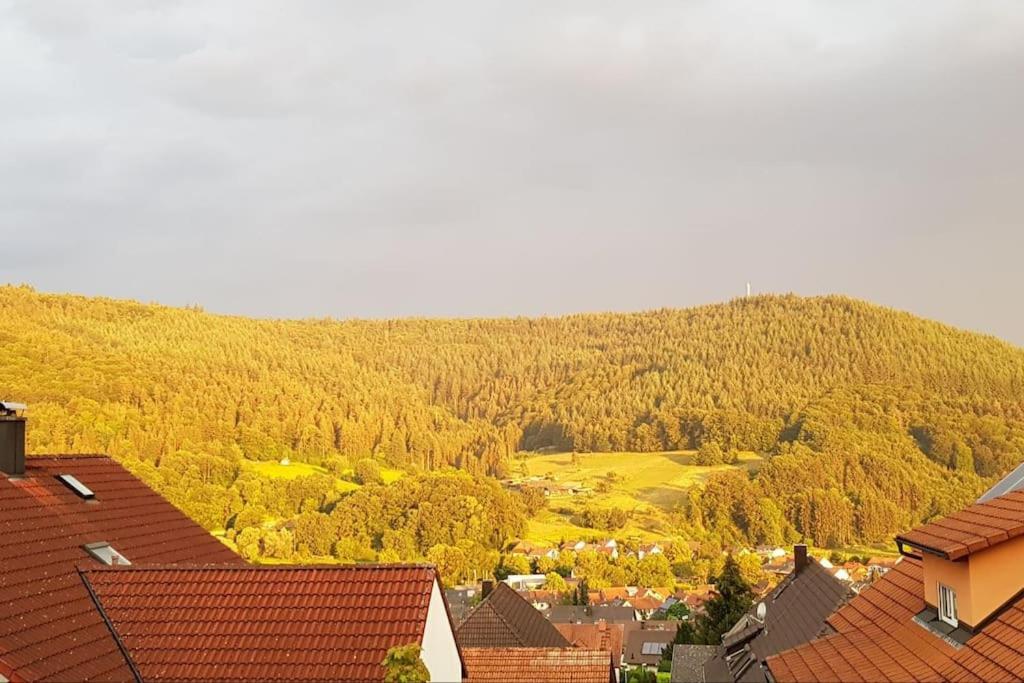 Ferienwohnung Talblick Im Schwarzwald Seelbach  Luaran gambar