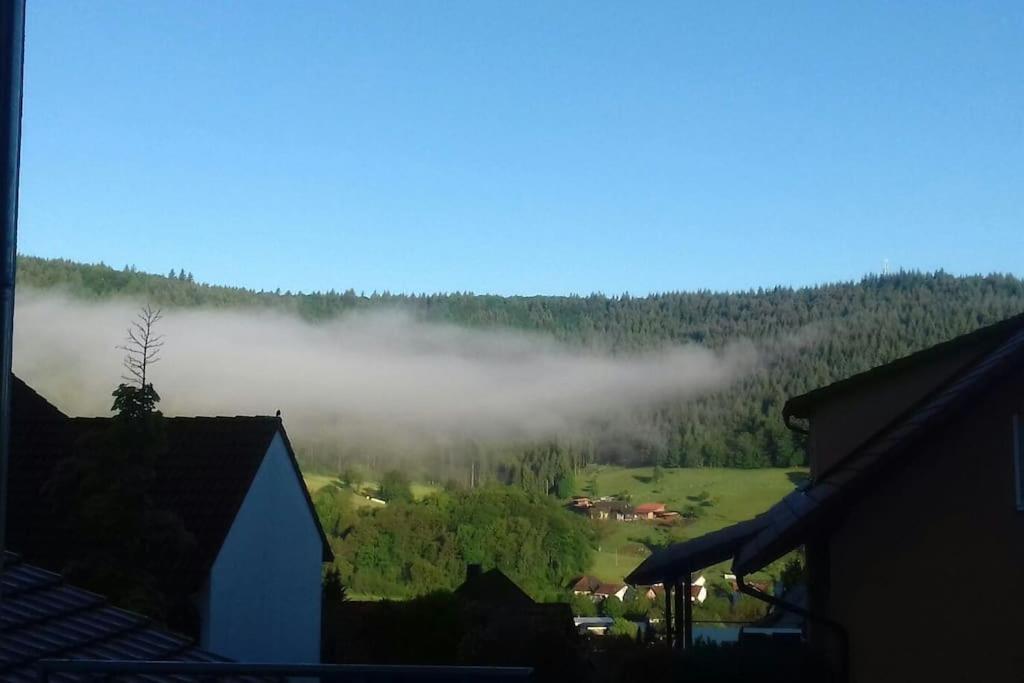 Ferienwohnung Talblick Im Schwarzwald Seelbach  Luaran gambar