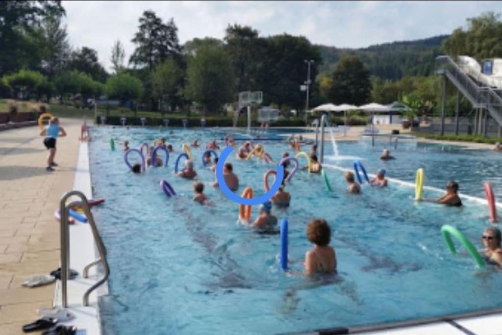 Ferienwohnung Talblick Im Schwarzwald Seelbach  Luaran gambar
