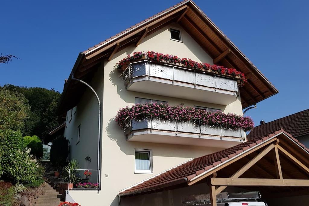 Ferienwohnung Talblick Im Schwarzwald Seelbach  Luaran gambar