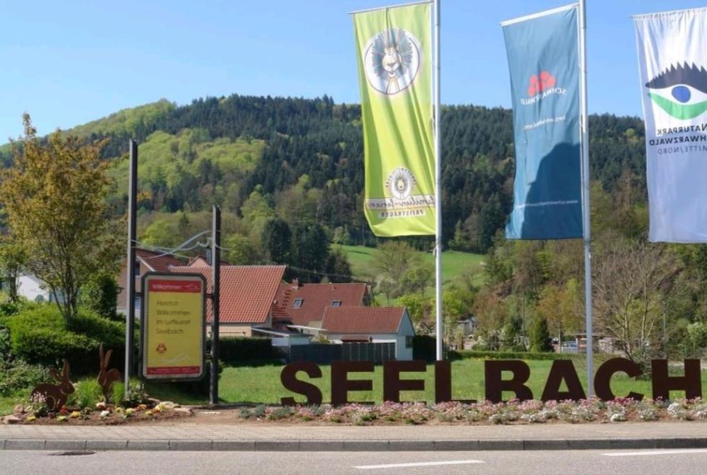 Ferienwohnung Talblick Im Schwarzwald Seelbach  Luaran gambar