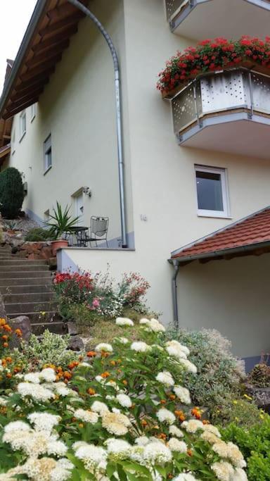 Ferienwohnung Talblick Im Schwarzwald Seelbach  Luaran gambar