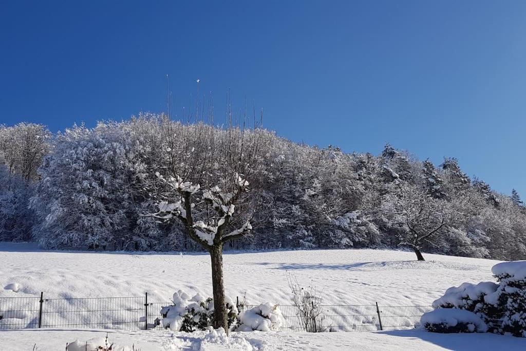 Ferienwohnung Talblick Im Schwarzwald Seelbach  Luaran gambar