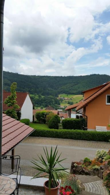 Ferienwohnung Talblick Im Schwarzwald Seelbach  Luaran gambar