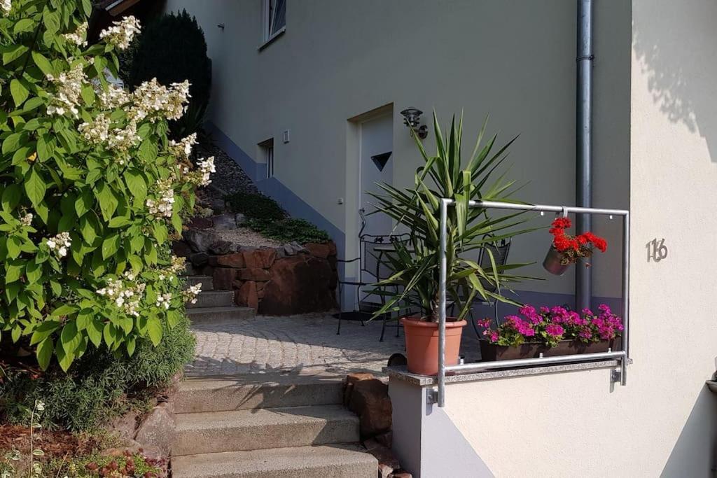 Ferienwohnung Talblick Im Schwarzwald Seelbach  Luaran gambar